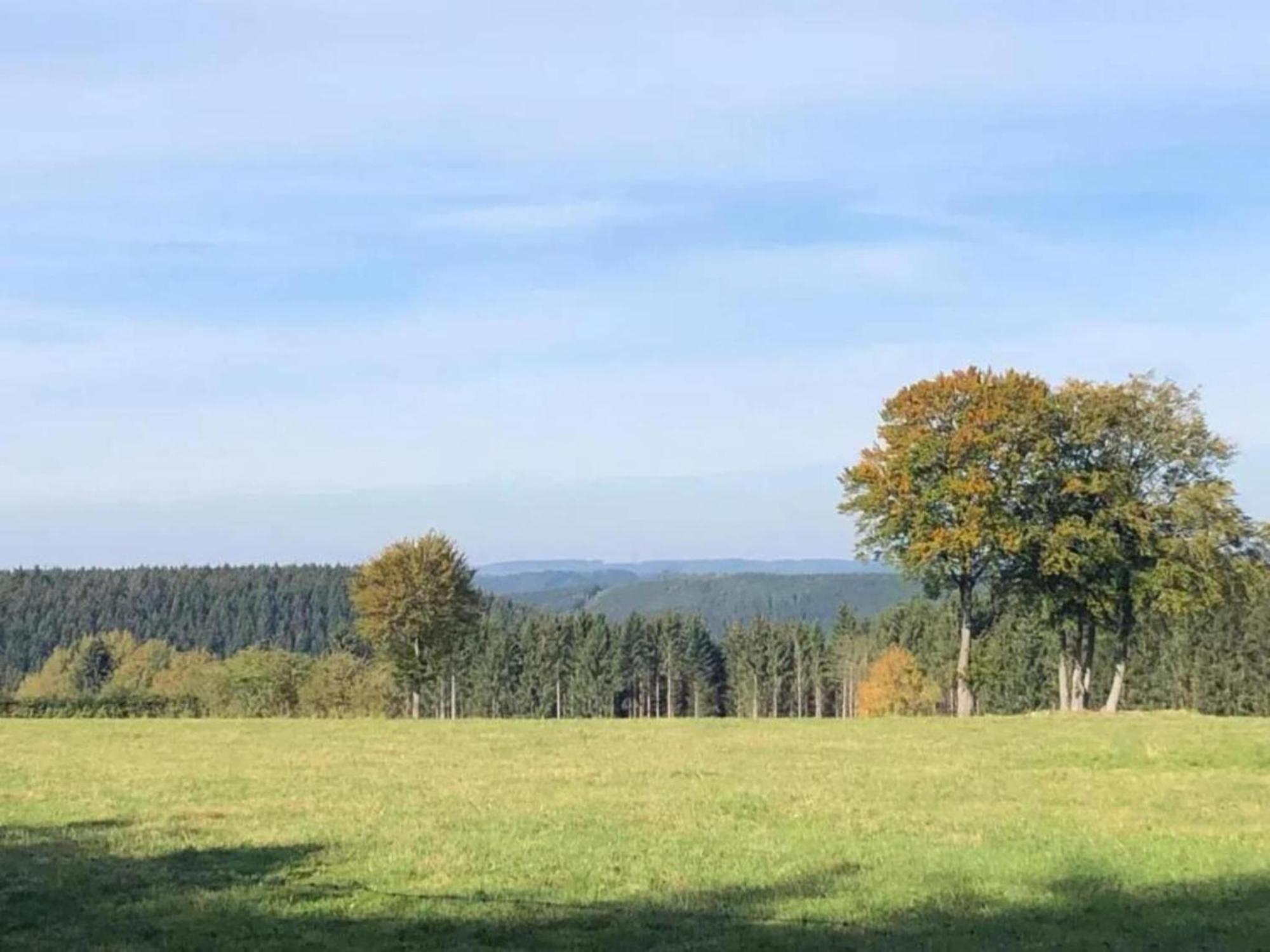 Holiday Home Ardennes Blue In Theux Near Spa La Reid Экстерьер фото